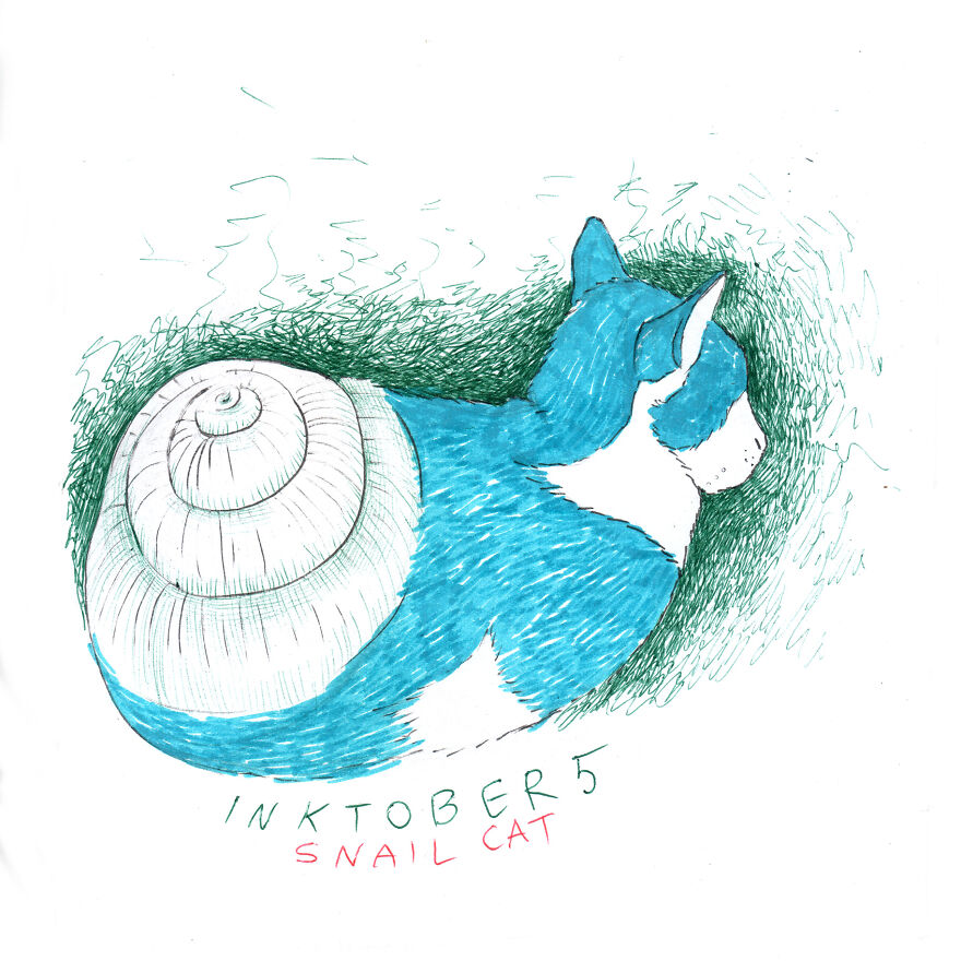 Snail Cat