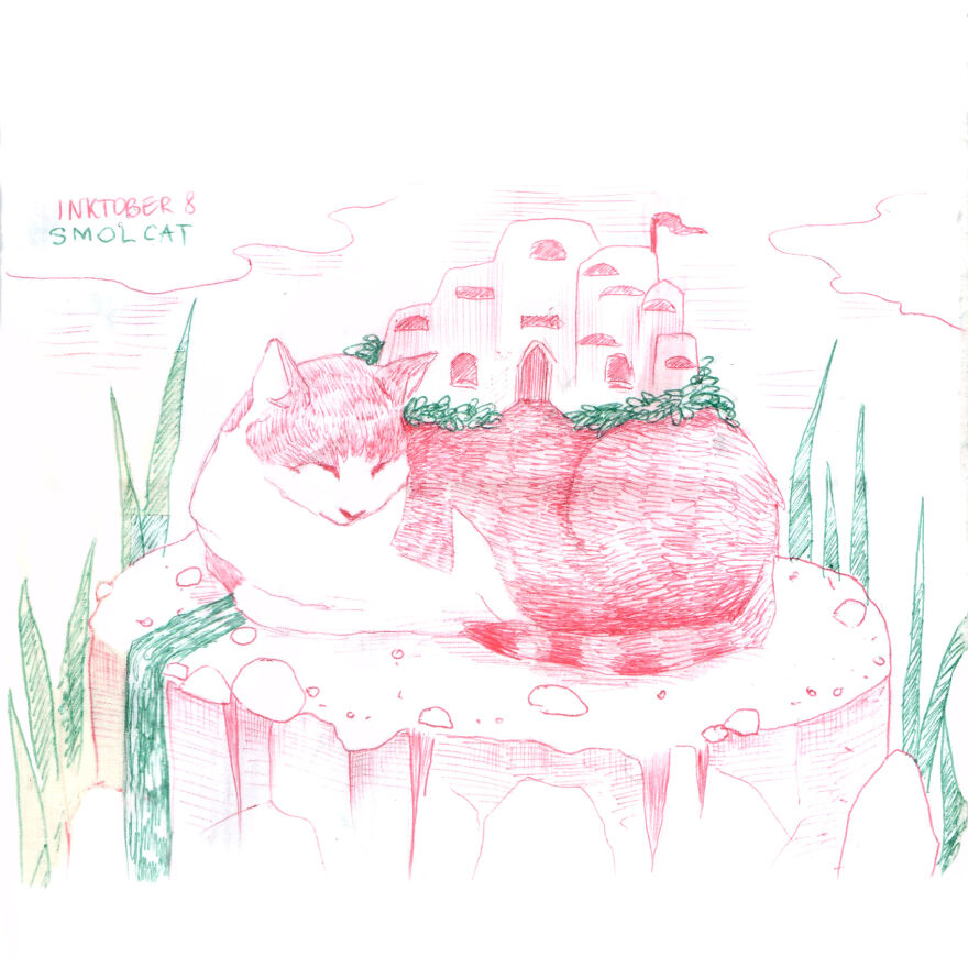Smol Cat