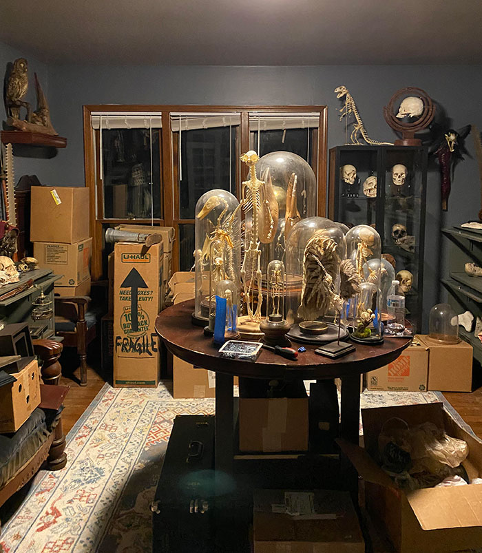My Dad's Friend's Collection Room