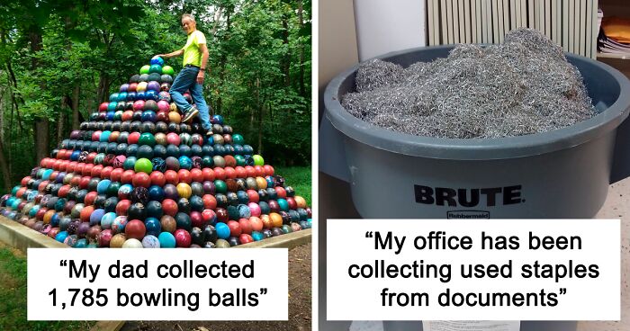 50 People Share Their Unique Collections