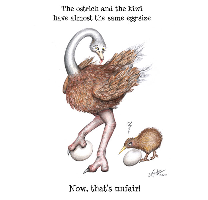 I Illustrate Interesting Scientific Facts In An Understandable Way (12 Pics)