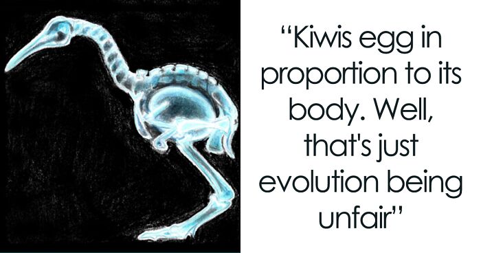 I Illustrate Interesting Scientific Facts In An Understandable Way (12 Pics)