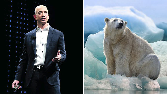 These Are The 16 Organizations That Will Be Receiving The First $800 Million From The Bezos Earth Fund