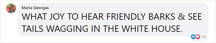 Joe Biden’s Dogs Have Twitter And Instagram Accounts And The Content Is Wholesome Joe Biden’s Dogs Have Twitter And Instagram Accounts And The Content Is Wholesome