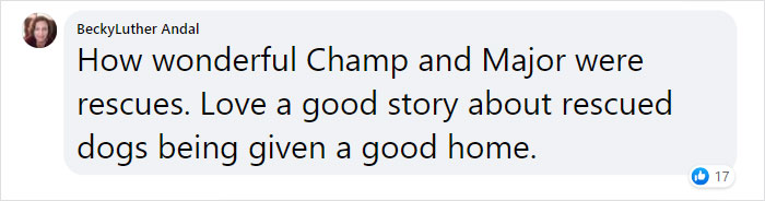 Joe Biden’s Dogs Have Twitter And Instagram Accounts And The Content Is Wholesome Joe Biden’s Dogs Have Twitter And Instagram Accounts And The Content Is Wholesome