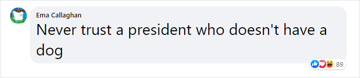 Joe Biden’s Dogs Have Twitter And Instagram Accounts And The Content Is Wholesome Joe Biden’s Dogs Have Twitter And Instagram Accounts And The Content Is Wholesome