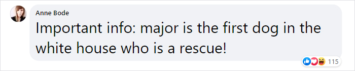 Joe Biden’s Dogs Have Twitter And Instagram Accounts And The Content Is Wholesome Joe Biden’s Dogs Have Twitter And Instagram Accounts And The Content Is Wholesome