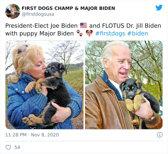 Joe Biden’s Dogs Have Twitter And Instagram Accounts And The Content Is Wholesome Joe Biden’s Dogs Have Twitter And Instagram Accounts And The Content Is Wholesome