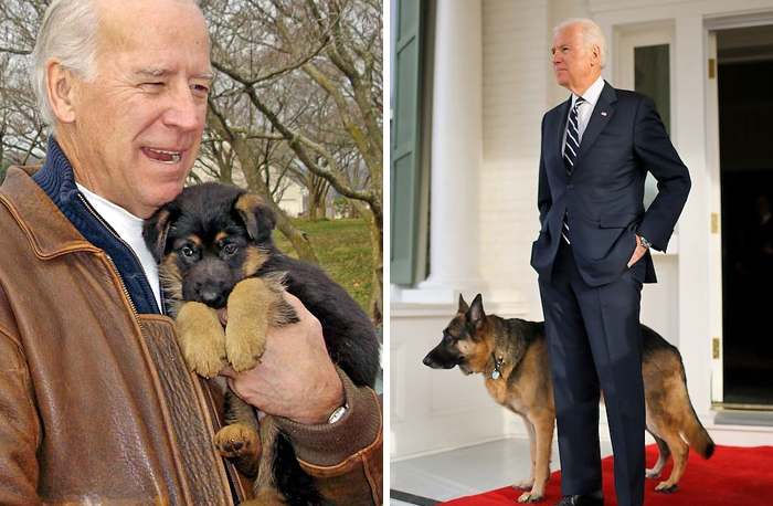 Joe Biden’s Dogs Have Twitter And Instagram Accounts And The Content Is Wholesome