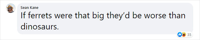 Someone Replaced Jurassic Park Dinosaurs With Ferrets, And This Version Is Probably Better Than The Original Someone Replaced Jurassic Park Dinosaurs With Ferrets, And This Version Is Probably Better Than The Original