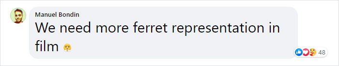 Someone Replaced Jurassic Park Dinosaurs With Ferrets, And This Version Is Probably Better Than The Original