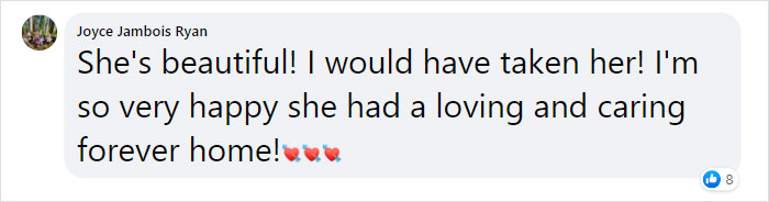 Kitten With Twisted Legs Wins People’s Hearts And Finds Her Forever Home