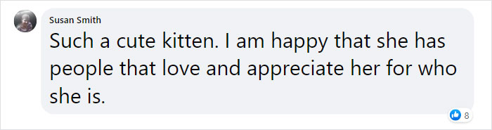 Kitten With Twisted Legs Wins People’s Hearts And Finds Her Forever Home Kitten With Twisted Legs Wins People’s Hearts And Finds Her Forever Home