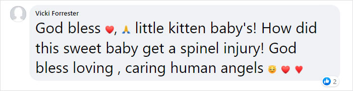 Kitten With Twisted Legs Wins People’s Hearts And Finds Her Forever Home Kitten With Twisted Legs Wins People’s Hearts And Finds Her Forever Home