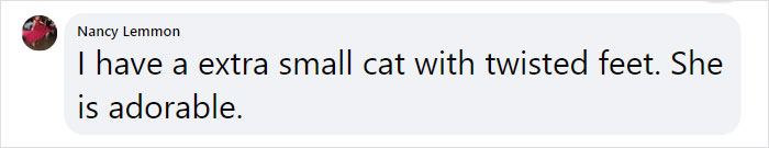 Kitten With Twisted Legs Wins People’s Hearts And Finds Her Forever Home