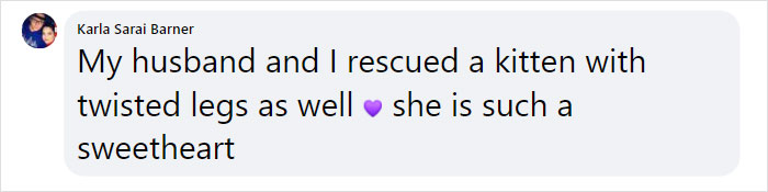 Kitten With Twisted Legs Wins People’s Hearts And Finds Her Forever Home