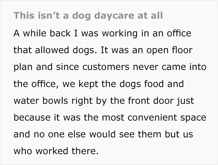 For Months, This Woman Mistakenly Kept Leaving Her Dog At This Office Thinking It's A Dog Daycare For Months, This Woman Mistakenly Kept Leaving Her Dog At This Office Thinking It's A Dog Daycare