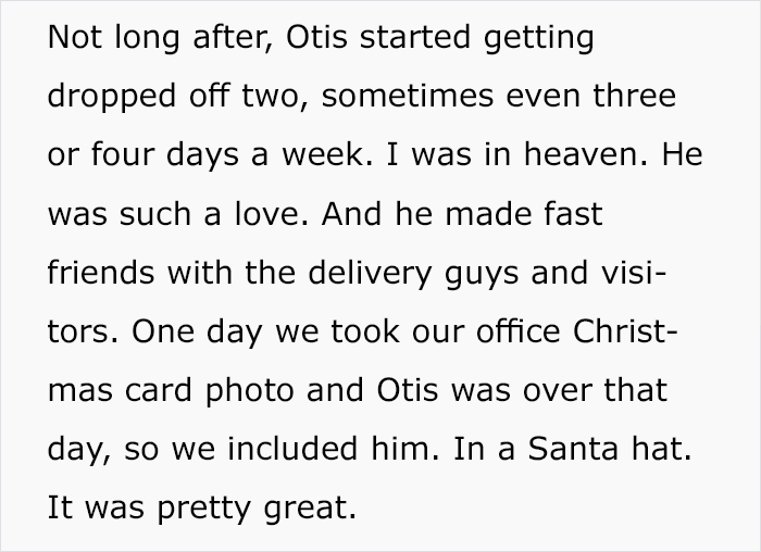 For Months, This Woman Mistakenly Kept Leaving Her Dog At This Office Thinking It's A Dog Daycare For Months, This Woman Mistakenly Kept Leaving Her Dog At This Office Thinking It's A Dog Daycare