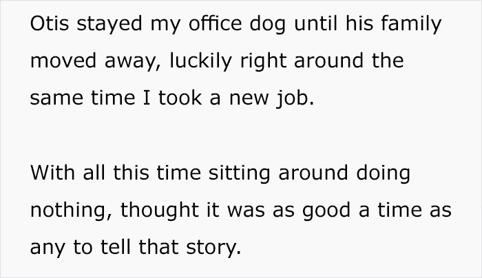 For Months, This Woman Mistakenly Kept Leaving Her Dog At This Office Thinking It's A Dog Daycare For Months, This Woman Mistakenly Kept Leaving Her Dog At This Office Thinking It's A Dog Daycare