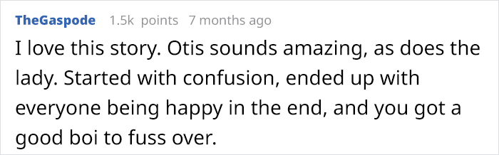 For Months, This Woman Mistakenly Kept Leaving Her Dog At This Office Thinking It's A Dog Daycare