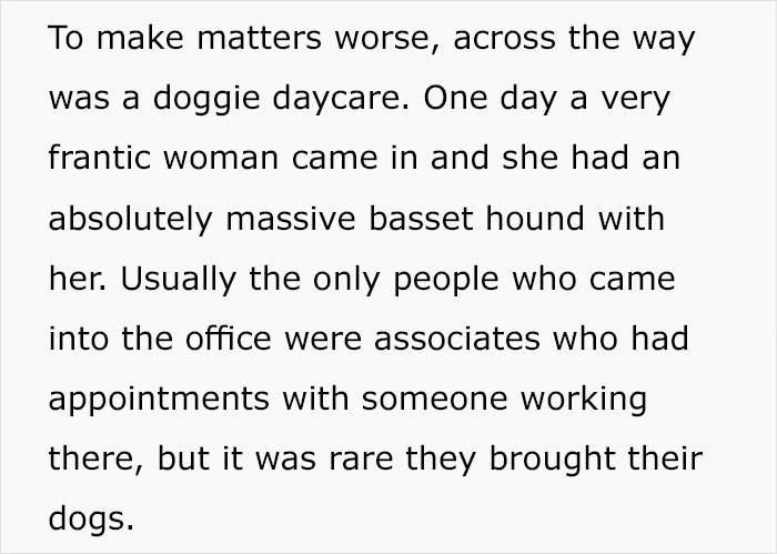 For Months, This Woman Mistakenly Kept Leaving Her Dog At This Office Thinking It's A Dog Daycare
