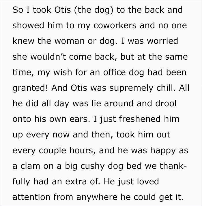 For Months, This Woman Mistakenly Kept Leaving Her Dog At This Office Thinking It's A Dog Daycare