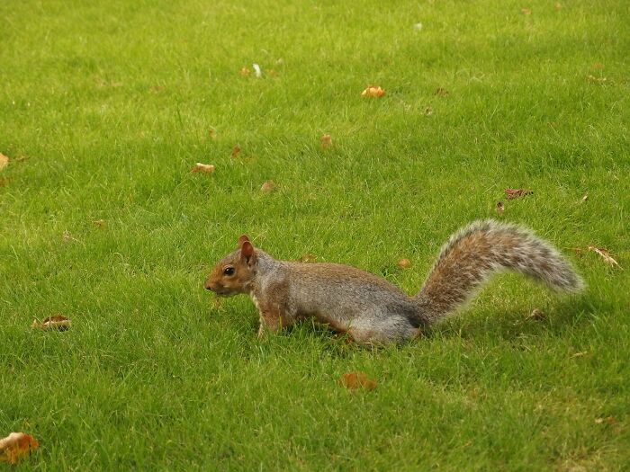 I Got Lucky With This Photogenic English Guy!