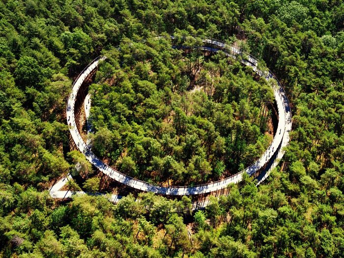 This 360-Degree Pathway In Belgium Lets You Cycle Through The Trees 32 Ft Above The Ground