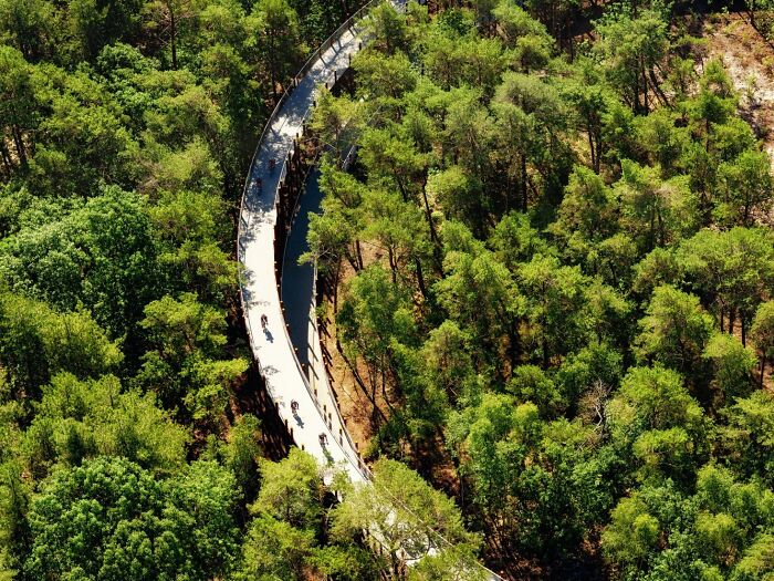 This 360-Degree Pathway In Belgium Lets You Cycle Through The Trees 32 Ft Above The Ground This 360-Degree Pathway In Belgium Lets You Cycle Through The Trees 32 Ft Above The Ground
