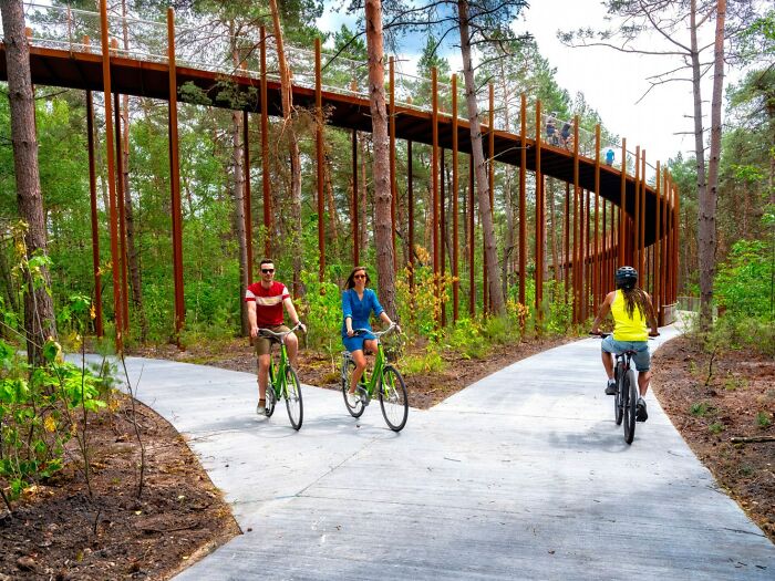 This 360-Degree Pathway In Belgium Lets You Cycle Through The Trees 32 Ft Above The Ground This 360-Degree Pathway In Belgium Lets You Cycle Through The Trees 32 Ft Above The Ground