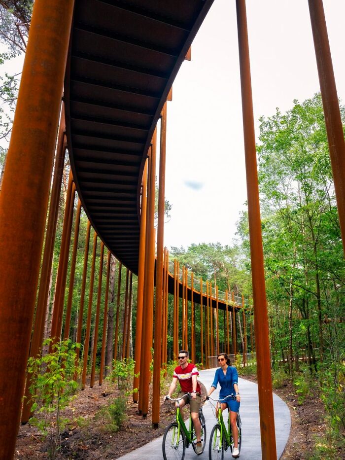 This 360-Degree Pathway In Belgium Lets You Cycle Through The Trees 32 Ft Above The Ground