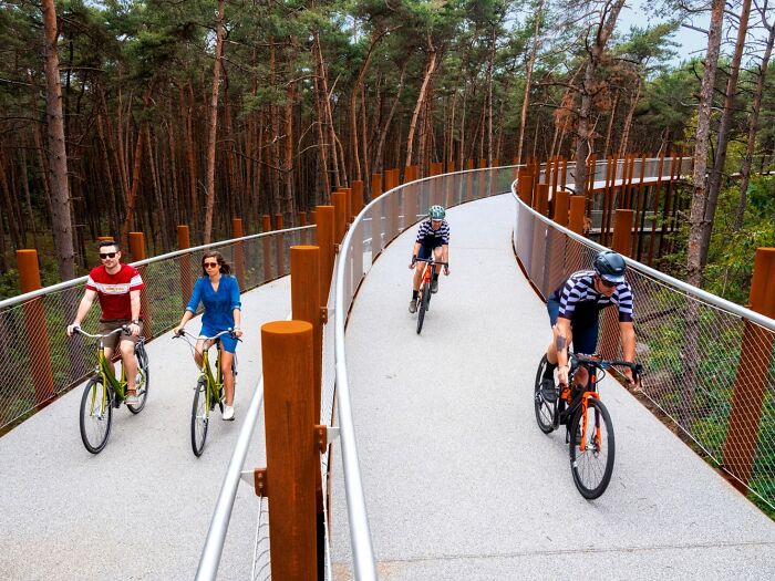This 360-Degree Pathway In Belgium Lets You Cycle Through The Trees 32 Ft Above The Ground