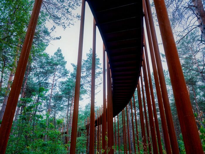 This 360-Degree Pathway In Belgium Lets You Cycle Through The Trees 32 Ft Above The Ground This 360-Degree Pathway In Belgium Lets You Cycle Through The Trees 32 Ft Above The Ground
