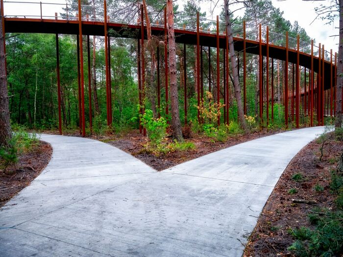 This 360-Degree Pathway In Belgium Lets You Cycle Through The Trees 32 Ft Above The Ground This 360-Degree Pathway In Belgium Lets You Cycle Through The Trees 32 Ft Above The Ground