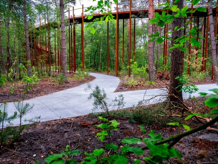 This 360-Degree Pathway In Belgium Lets You Cycle Through The Trees 32 Ft Above The Ground