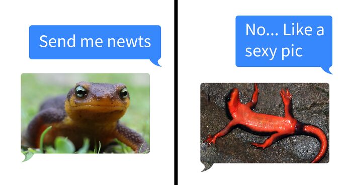 30 Times People Struggled To Use The Correct Words And It Resulted In These Hilarious Mishaps (New Pics)