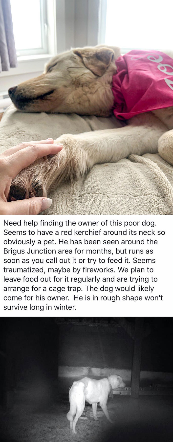 Zoe Returns Home After Being Lost In The Woods For Nearly A Year