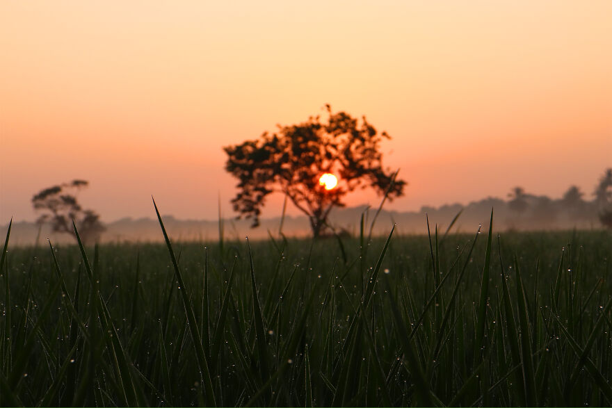 Sunrise At Sri Lanka Sunrise At Sri Lanka