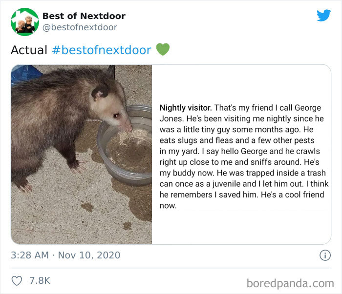 Neighbours-Nextdoor-Tweets