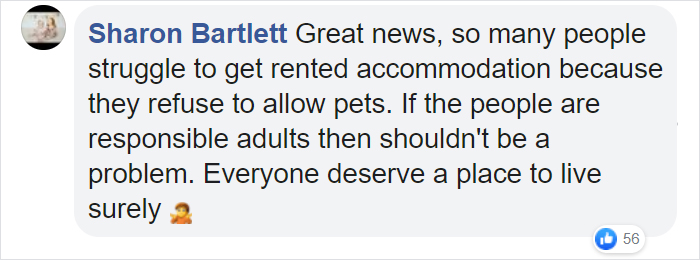 New Law Would Give People Rights To Own Pets In Rented Accommodation, But Landlords Aren't Too Happy About It