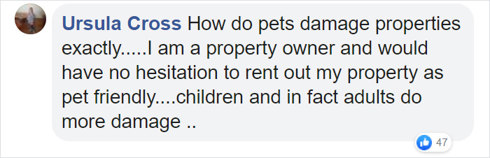 New Law Would Give People Rights To Own Pets In Rented Accommodation, But Landlords Aren't Too Happy About It New Law Would Give People Rights To Own Pets In Rented Accommodation, But Landlords Aren't Too Happy About It