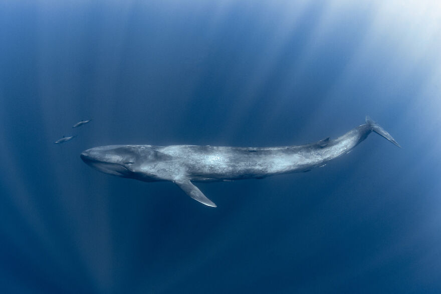 Nominee: Adventure Photographer Of The Year