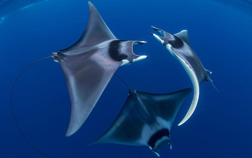 Nominee: Adventure Photographer Of The Year