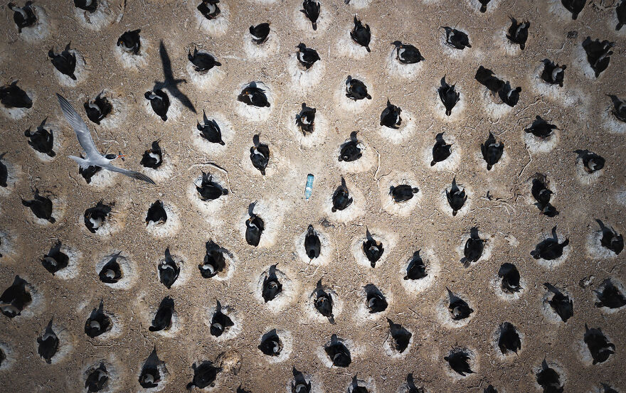 Nominee: Conservation Photographer Of The Year