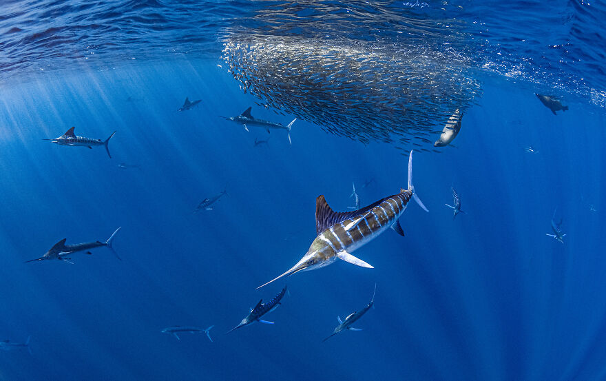 Nominee: Adventure Photographer Of The Year