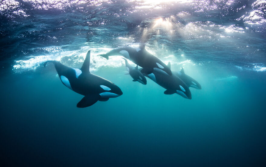 Nominee: Adventure Photographer Of The Year