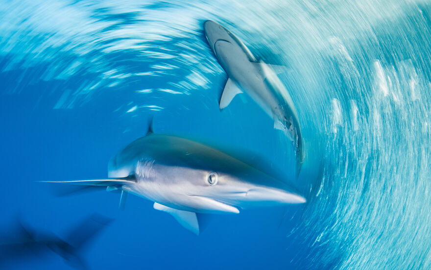 Nominee: Adventure Photographer Of The Year