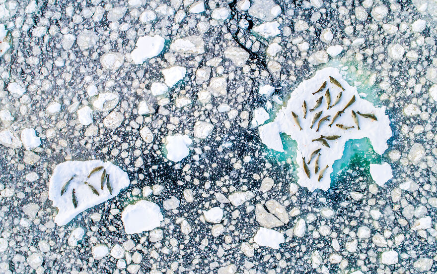 Nominee: Exploration Photographer Of The Year