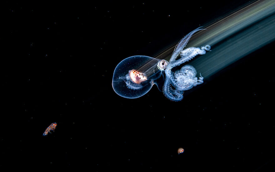 Nominee: Exploration Photographer Of The Year