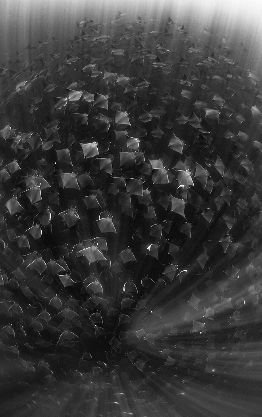 Nominee: Exploration Photographer Of The Year